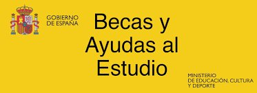 imagen16 1